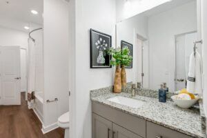 RISE Citrus Ridge elevated design townhomes in Davenport, Florida: Interior Master Bathroom with Shower