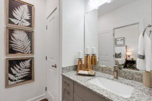RISE Citrus Ridge elevated design townhomes in Davenport, Florida: Interior Master Bathroom